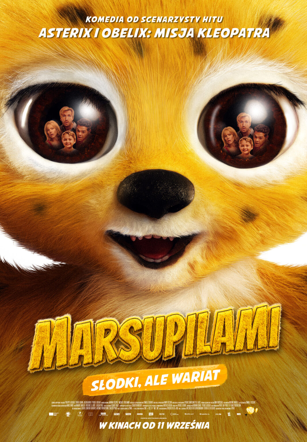 MARSUPILAMI W KINIE BAŚŃ